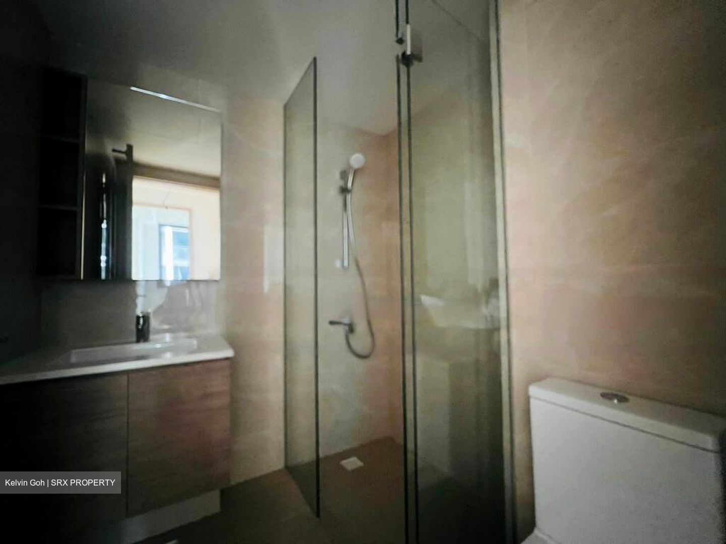 Treasure at Tampines (D18), Condominium #637318061